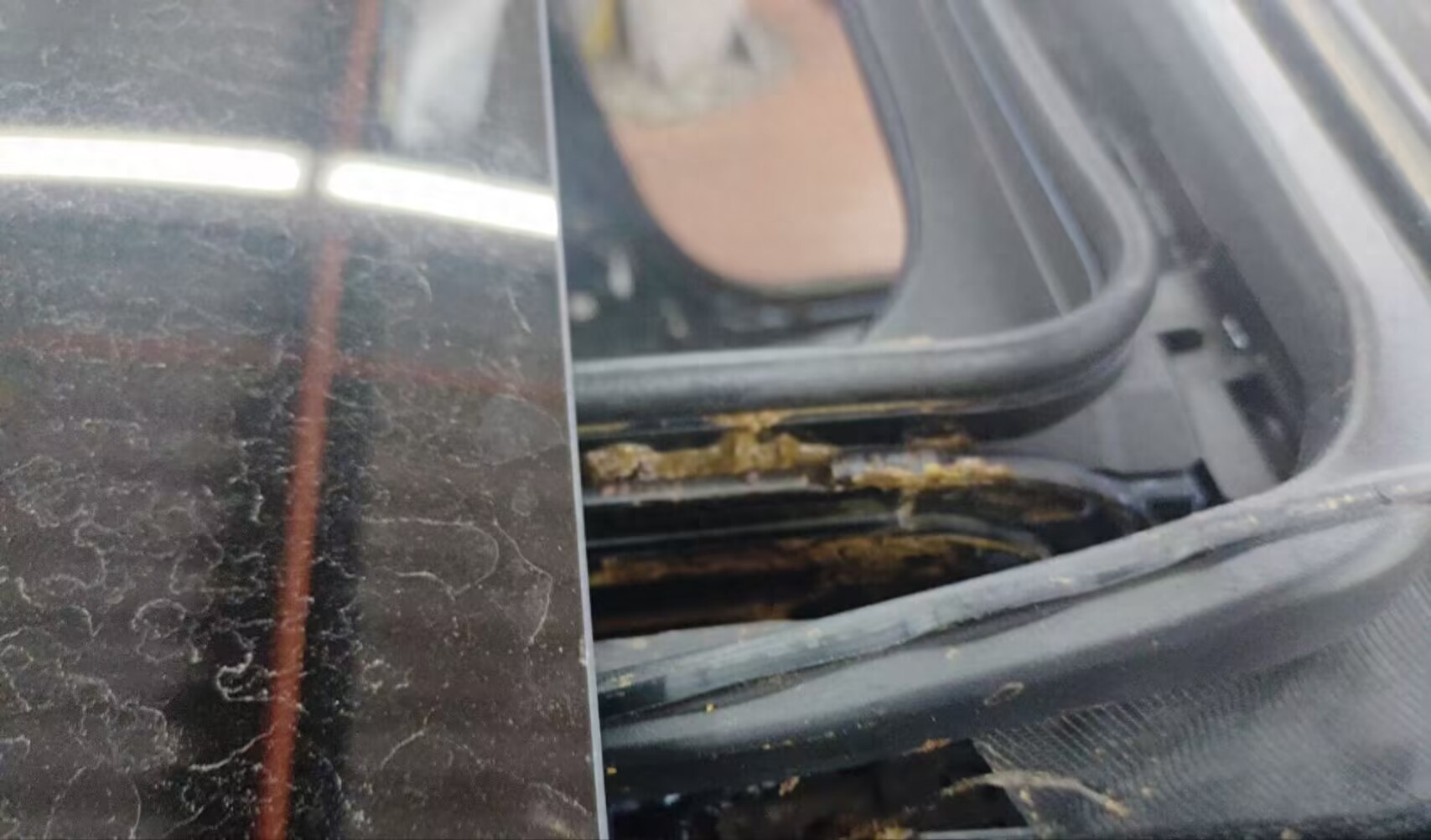 鑒車(chē)就是見(jiàn)人性：一樁荒唐破壞案背后的社會(huì)病理切片！